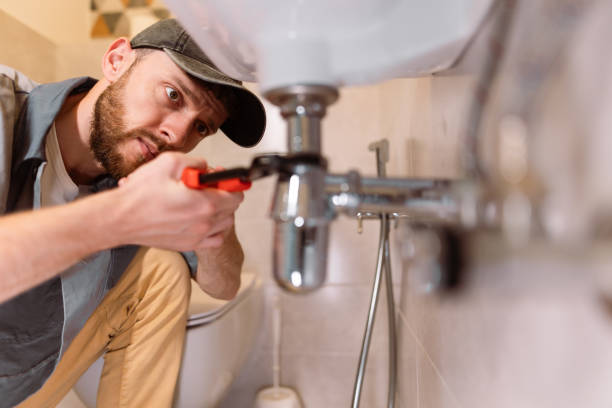 Best Septic System Installation and Maintenance  in Lutz, FL