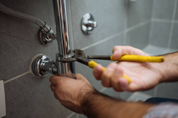 Best Plumbing System Maintenance  in Lutz, FL