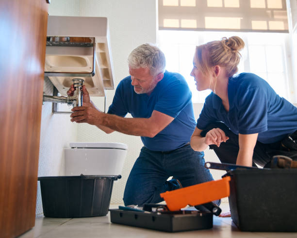 Plumbing System Maintenance in Lutz, FL